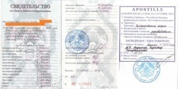 Какие документы стоит сделать в Беларуси до отъезда