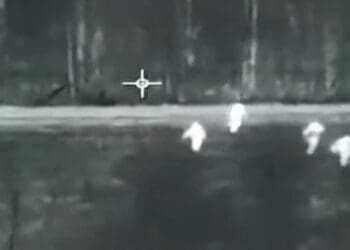 Граница Беларусь Польша