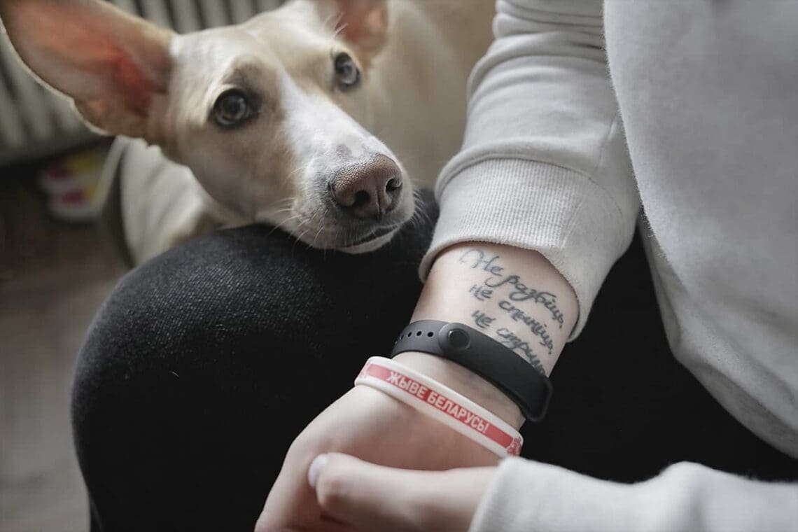 хатнія жывёлы