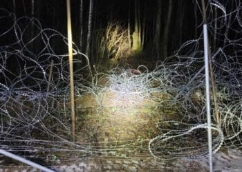 границу Беларуси и Польши пытались перейти 72 нелегала