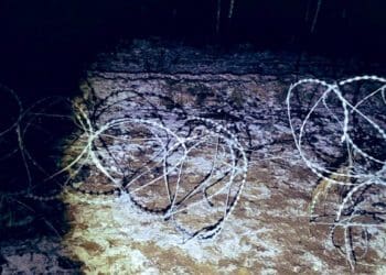 мигранты беларусско-польской границе