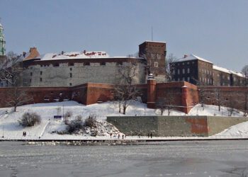 беженцы из Украины