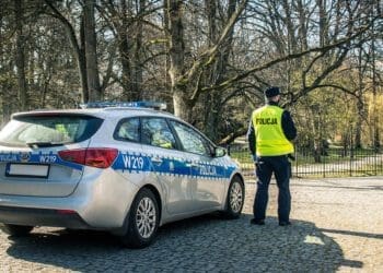 раварыст з канопляй