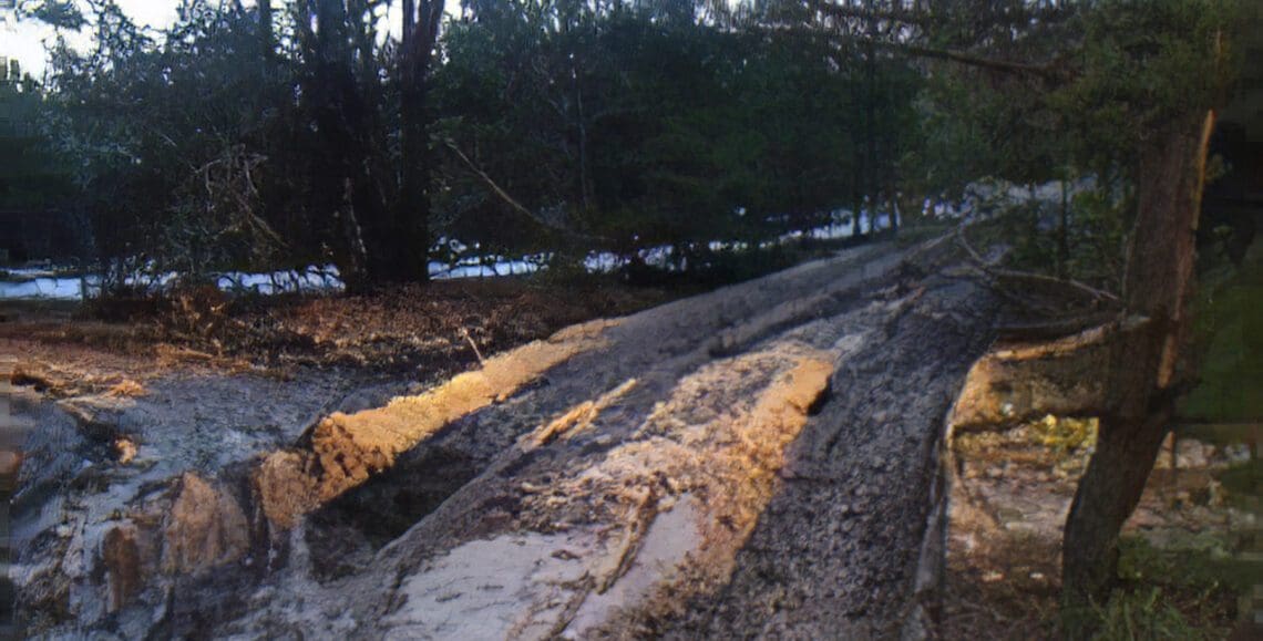 беларусско-российские военные учения