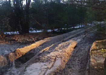 беларусско-российские военные учения