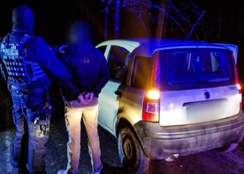 затрымалі ўкраінца які перавозіў нелегальных мігрантаў