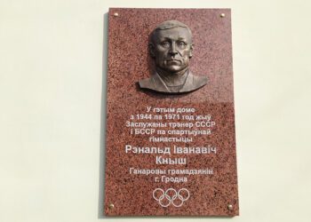 шыльду Рэнальду Кнышу