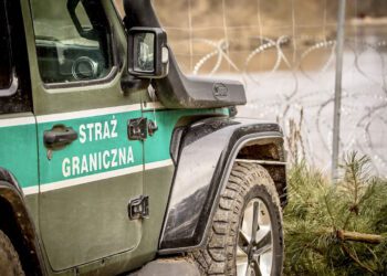 нелегальных мігрантаў на польска-беларускай мяжы