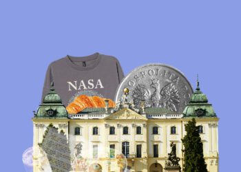 траты студентки