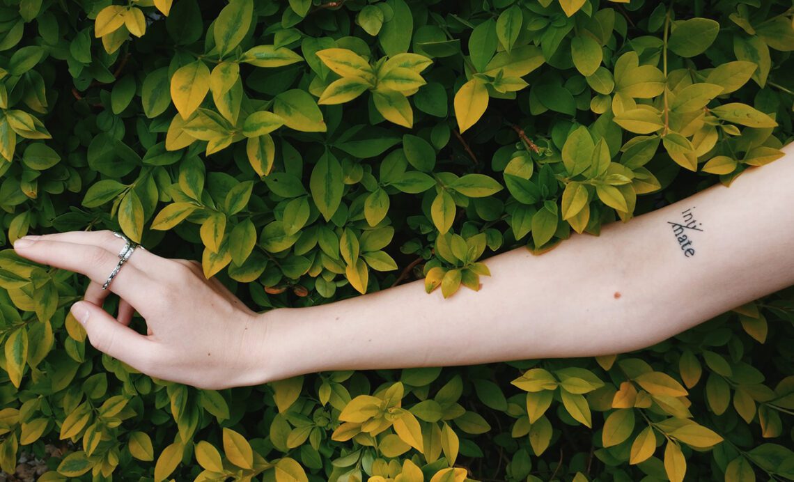 выставка беларусских художников