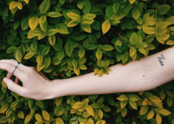 выставка беларусских художников