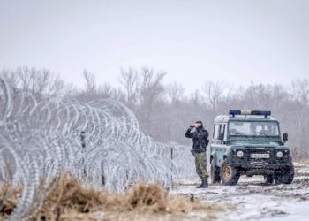 Очереди фур и поток мигрантов