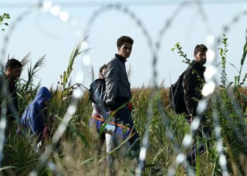 Семья иракцев попросила убежища в Польше, а потом пропала без вести