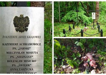 могілкі жаўнераў