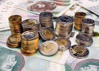 Когда появился злотый