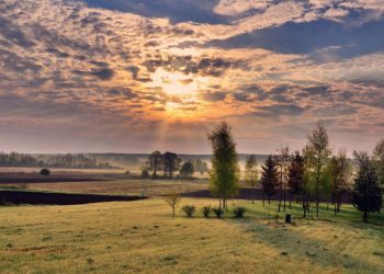 куда сходить