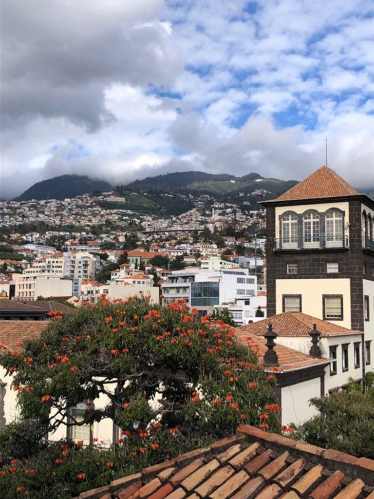 курсы английского