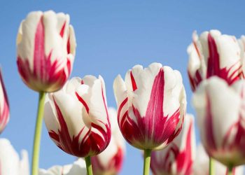 куда сходить в Белостоке