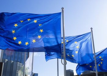 как получить пмж в ес