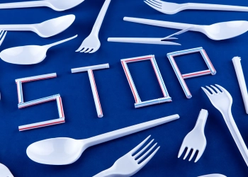 запрет на пластиковую посуду в Польше