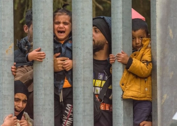 на границе польши и беларуси застряли мигранты
