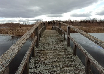 что такое випассана