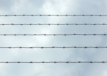 кого задержали и судили в Беларуси