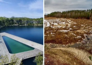 карьеры в Польше и Беларуси