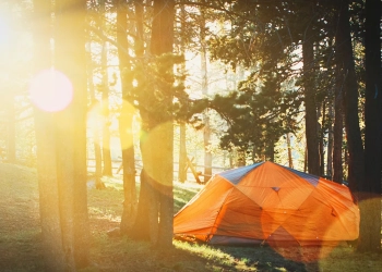 куда сходить в Белостоке и в Варшаве