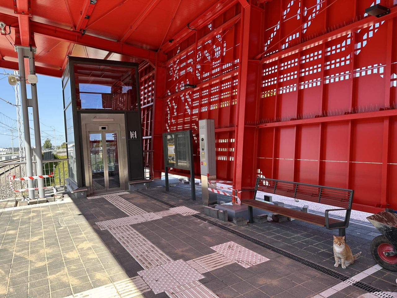 Кот провожает хозяйку