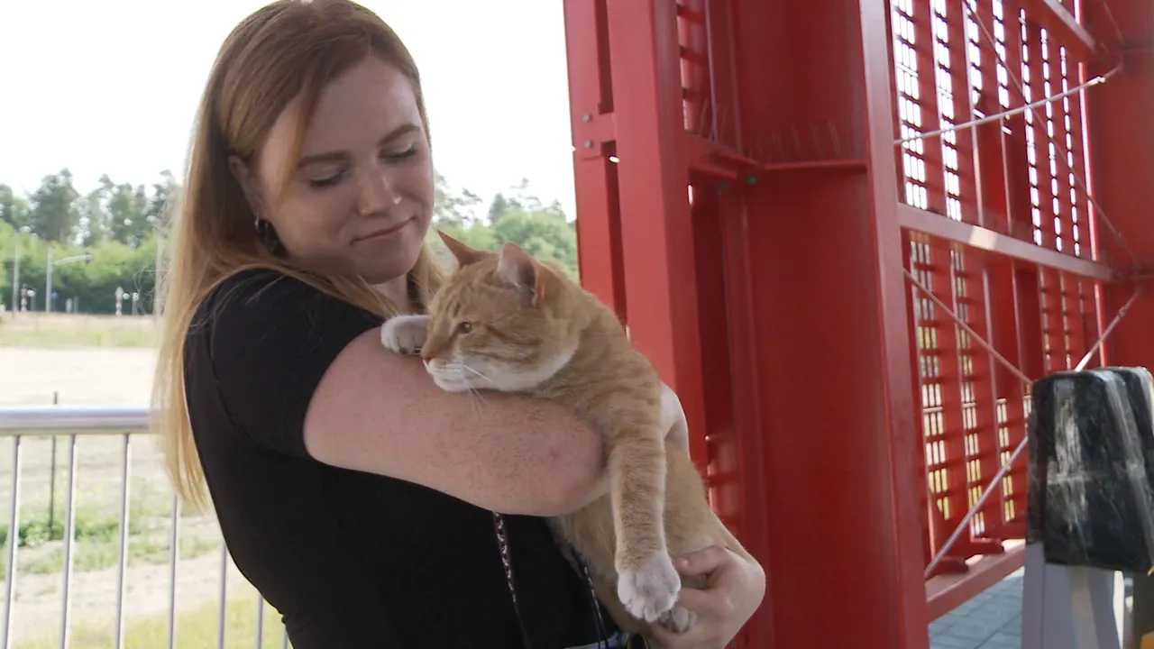 Кот Рысю с хозяйкой