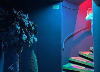 ночные клубы Белостока