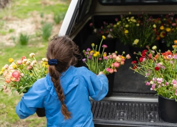 полицеальные школы