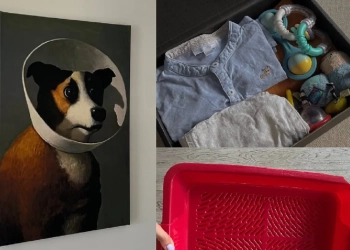 что берут в эмиграцию