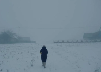 фільм пра гвалт