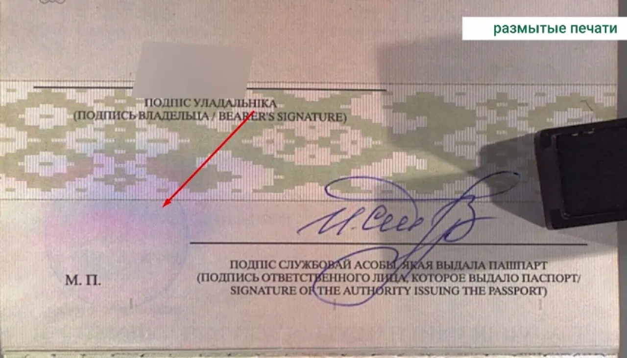 белорусский паспорт