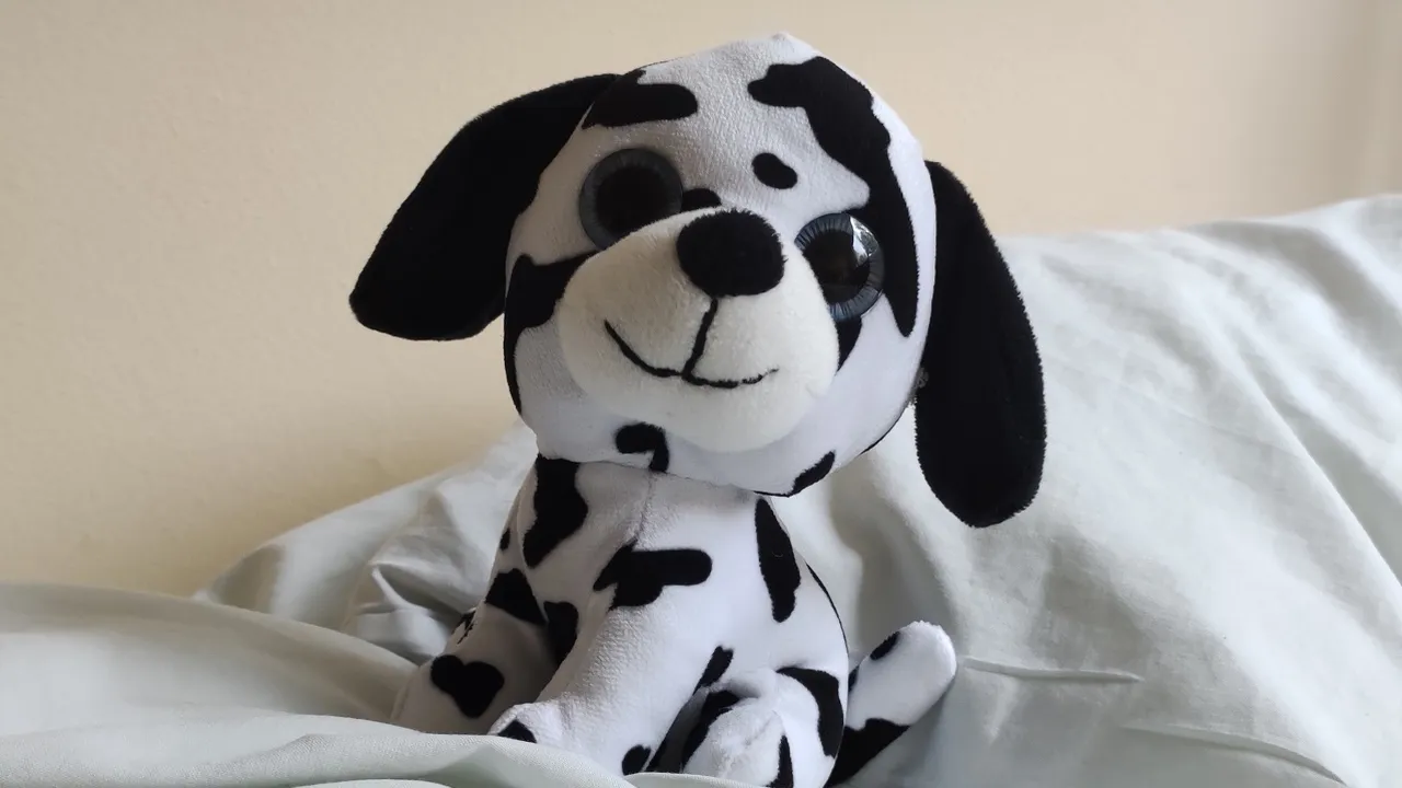 взяли в эмиграцию