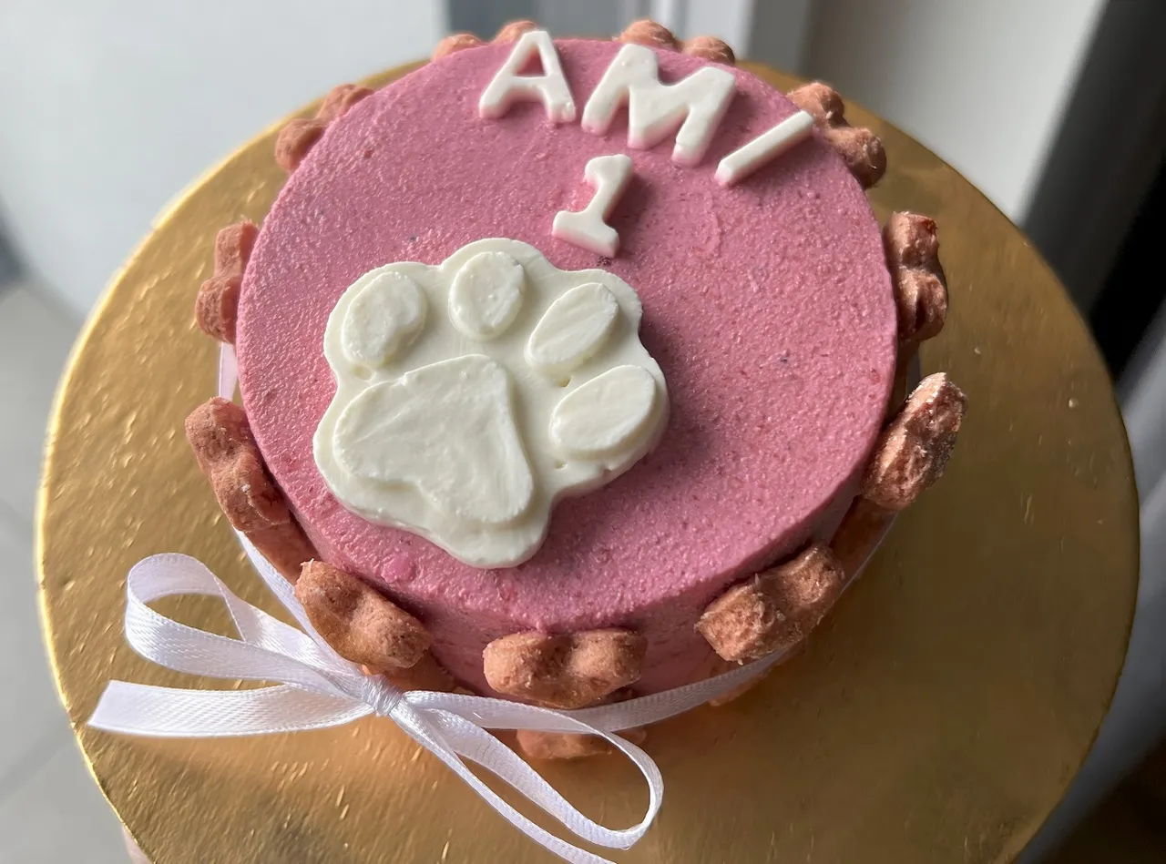 корм для собак и кошек в Польше