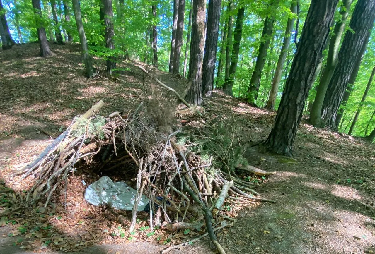 шалаш в парке