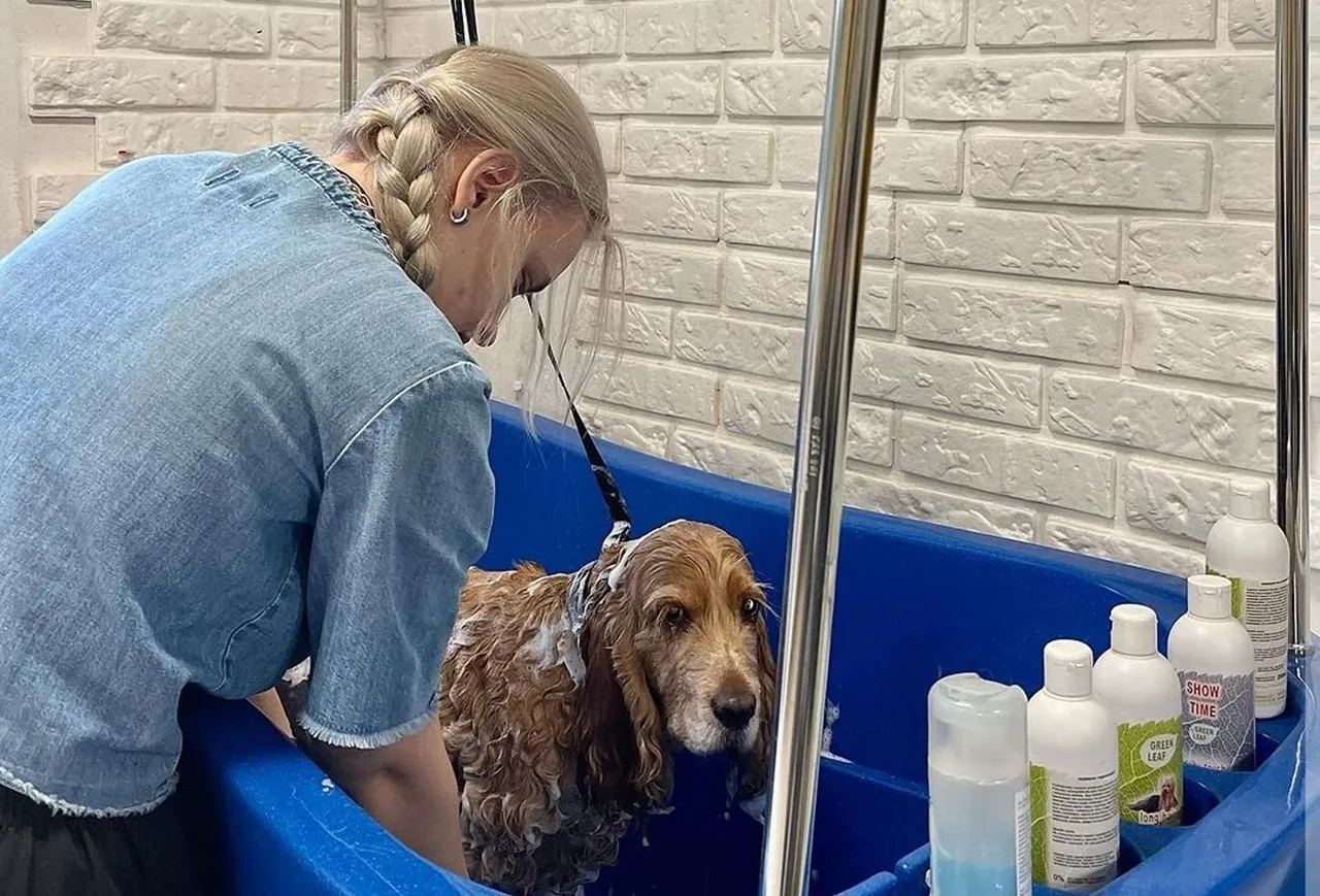 грумер в Варшаве