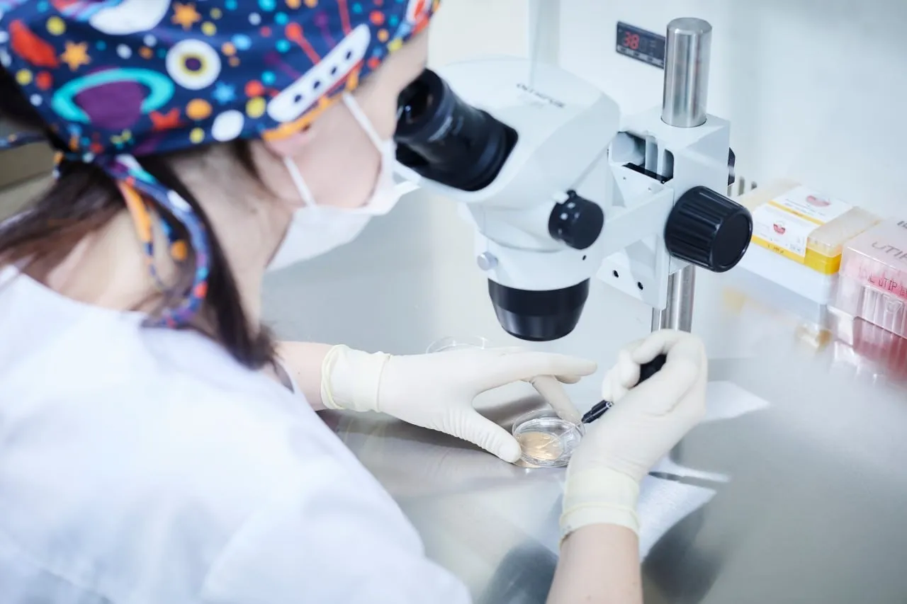 ЭКО в Польше