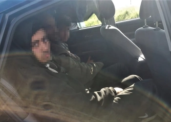 депортировать из Польши