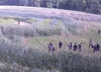 мигранты штурмуют польскую границу