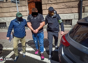 в Польше разоблачили банду