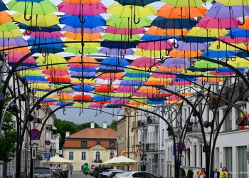 што паслухаць і паглядзець па-польску