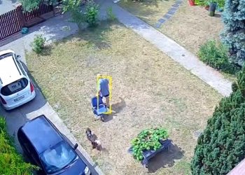 выселяют из дома в Польше