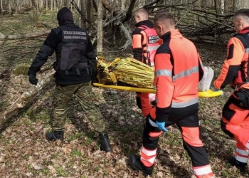 сколько мигрантов умерло на границе