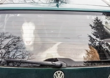 работа в такси в Польше