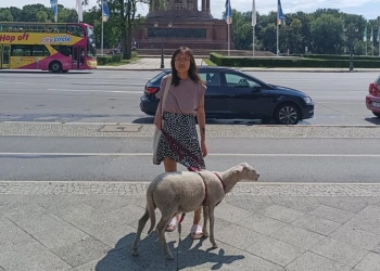 баран из поезда в Польше