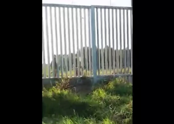 стрельба на границе